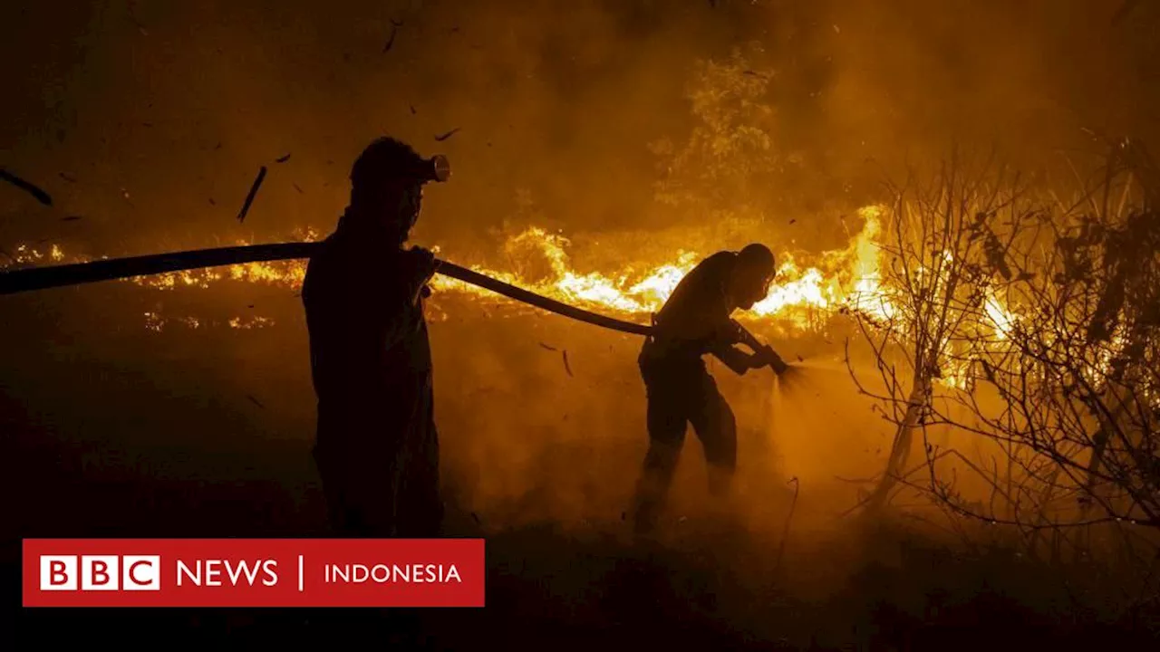 Perubahan Iklim: Kenaikan suhu Bumi tembus ambang batas 1,5 Celcius untuk pertama kalinya