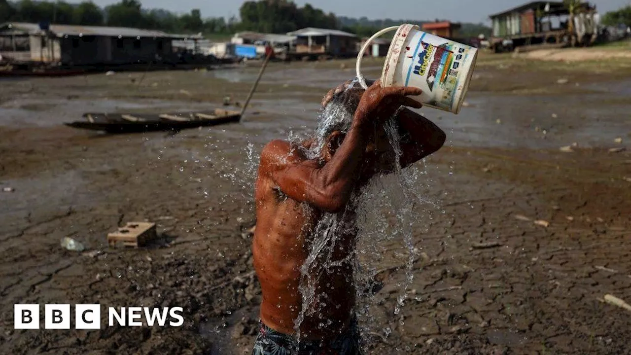 Amazon's record drought driven by climate change