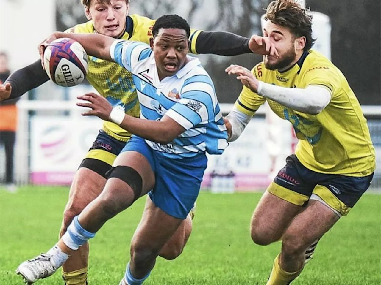 Local rugby talent spicing things up in France