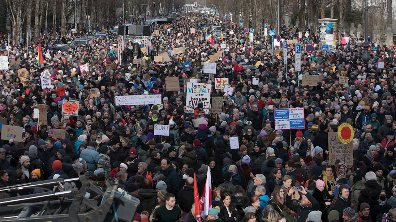 Debatte über 'Lichtermeer': Minister gegen Fridays for Future