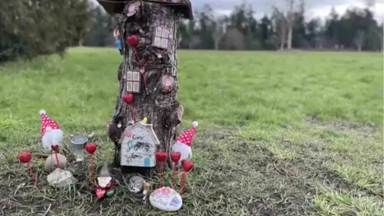 Mysterious 'gnome home' inspires community to make B.C. park magical