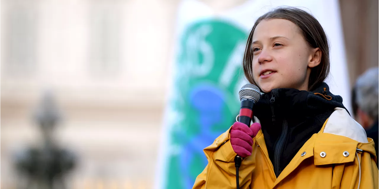 «Stop A69 !» : Greta Thunberg en soutien aux opposants à un projet d'autoroute