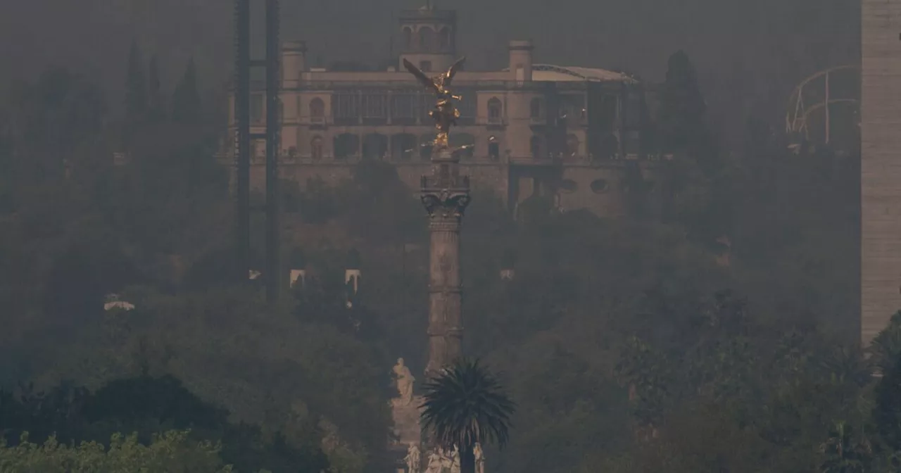 Autoridades prevén entre tres y ocho contingencias ambientales en 2024