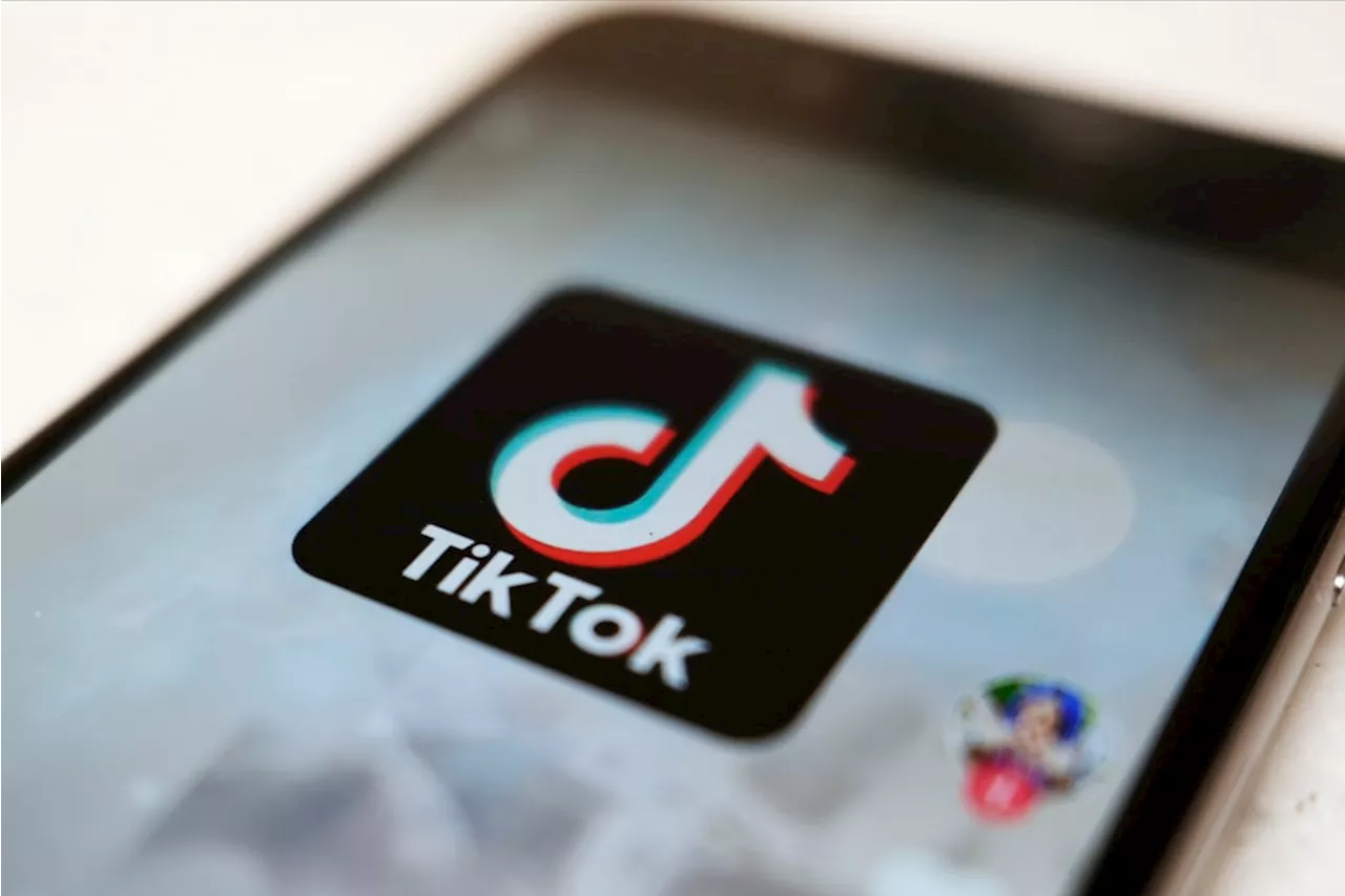 EU court rejects TikTok’s bid to suspend tough curbs