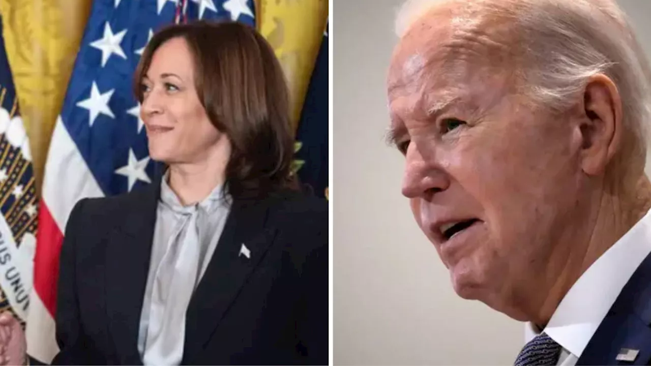 'It's politically motivated': Vice-President defends Joe Biden amid age concerns after report criticises...