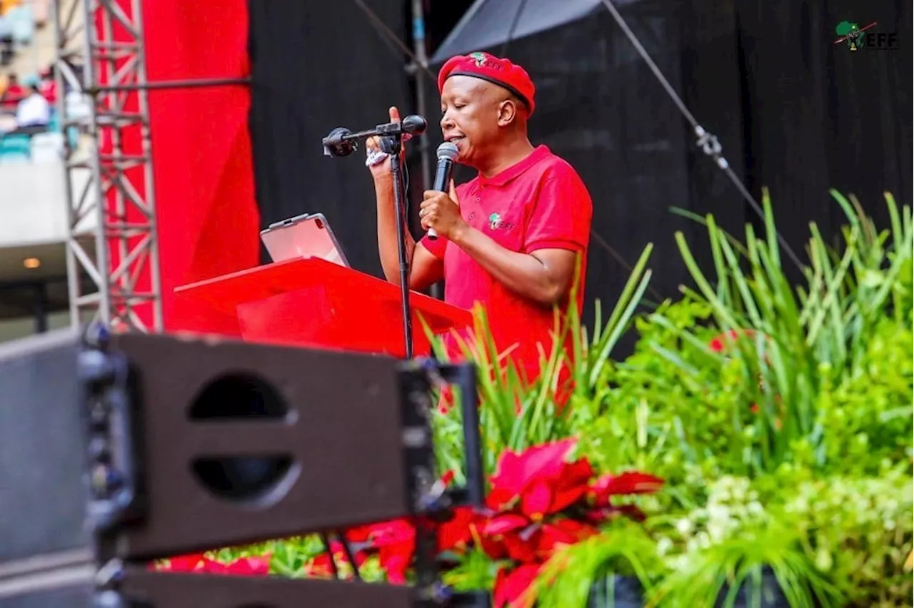 A provincial ballot win is a 'must', Malema tells EFF KZN