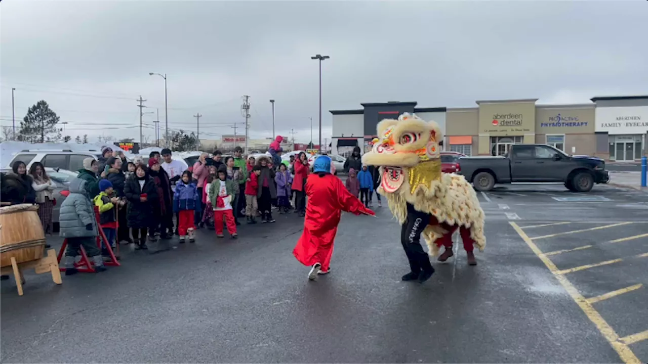 Chinese Association of NL celebrates 2024 Lunar New Year