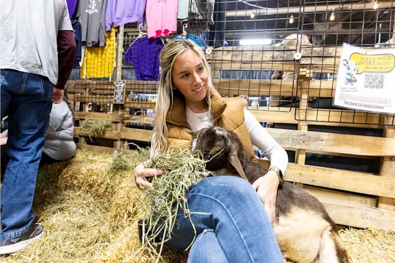 Baby goats and sunflower selfies are a boon for local farmers. Just look at the lines at the Pa. Farm Show.