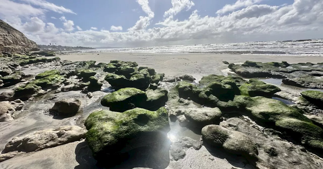 Enjoy the sun's return this weekend — but watch your step on muddy trails and torn-up beaches