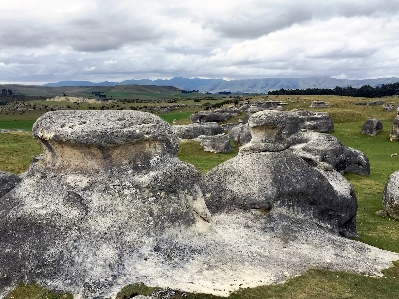 New Zealand’s First Global Geopark Preserves a Host of Unique Features