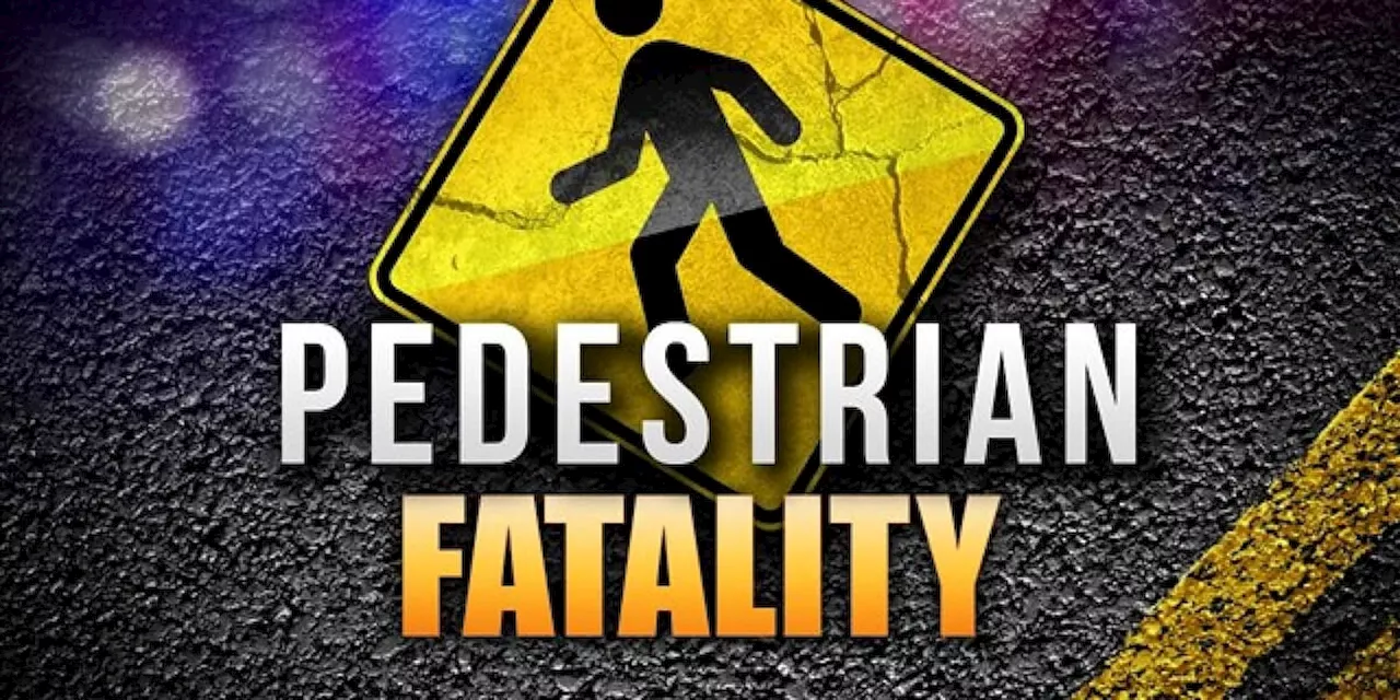 ALEA identifies pedestrian killed in January crash