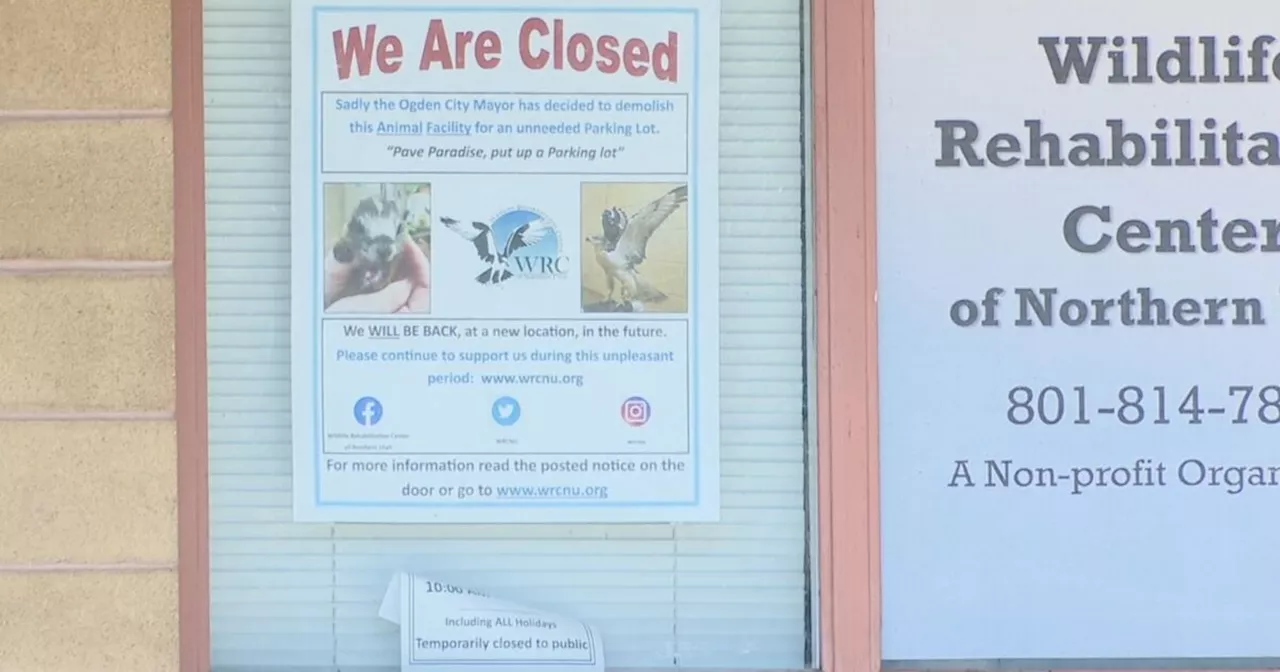 Utah wildlife rehab center rushes to move into new space