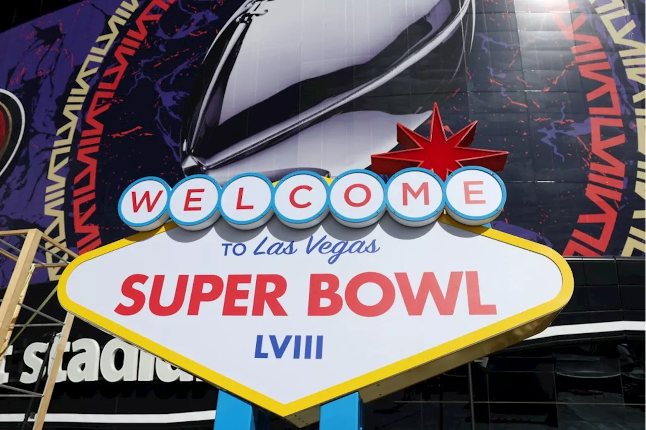 For NFL, the best day: 13 things hardcore and first-time Super Bowl fans need to know