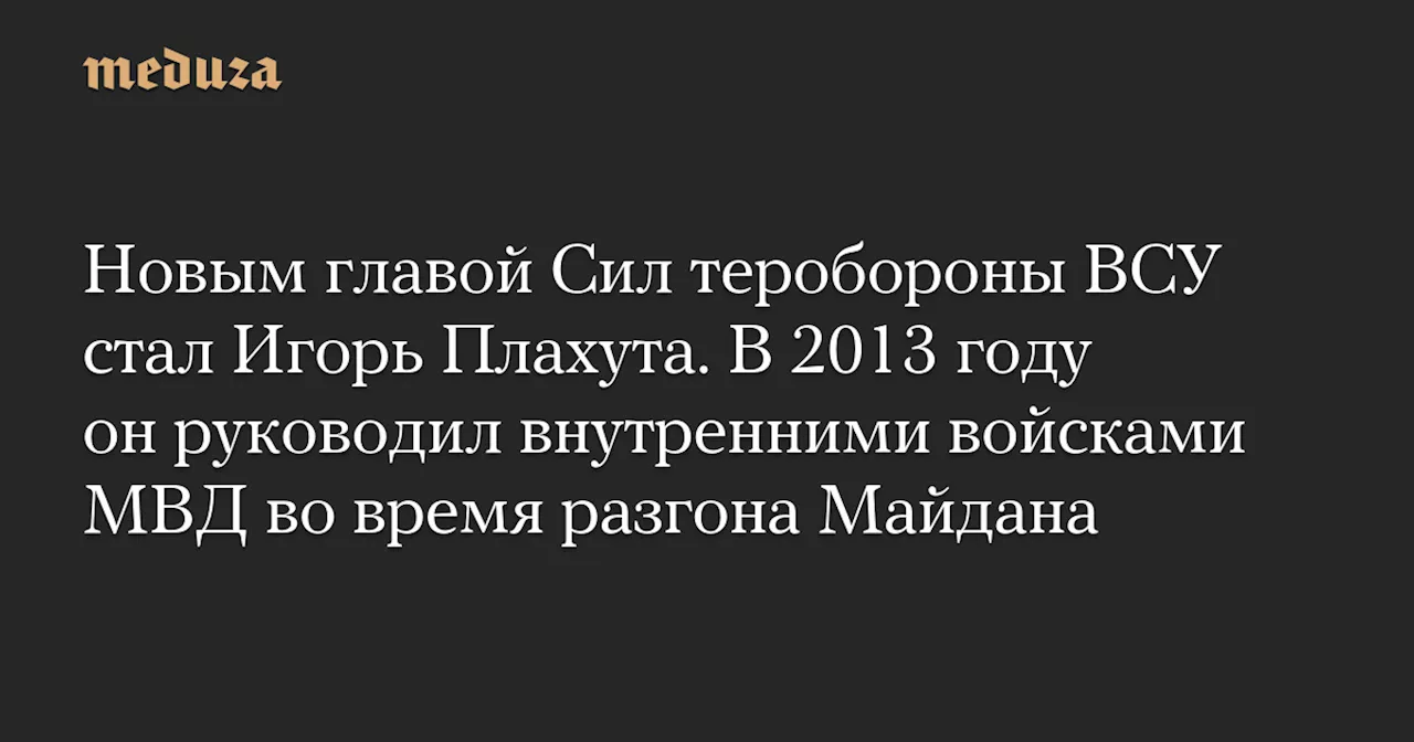 Новым главой Сил теробороны ВСУ стал Игорь Плахута. В 2013 году он руководил внутренними войсками МВД во время разгона Майдана — Meduza