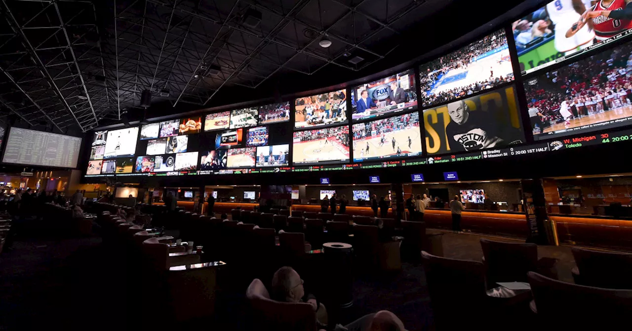 As Super Bowl kicks off, NFL ignores America's growing gambling addiction