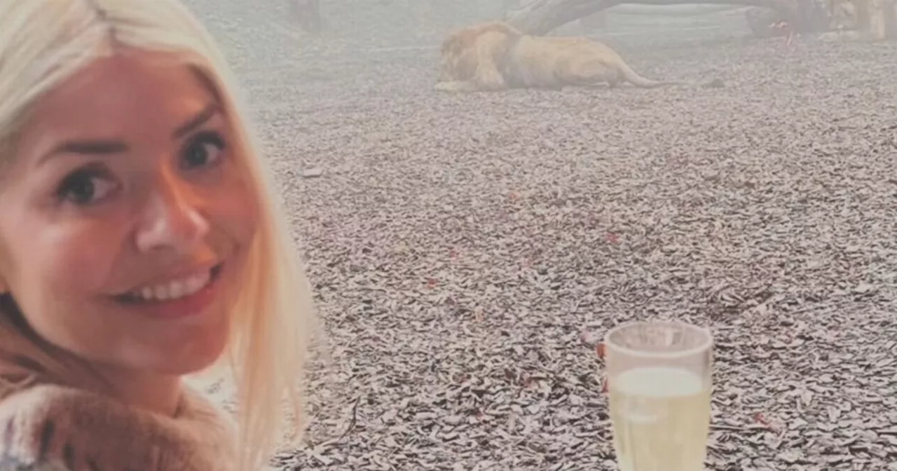 Holly Willoughby's 'lions and lie-ins' birthday weekend as she turns 43