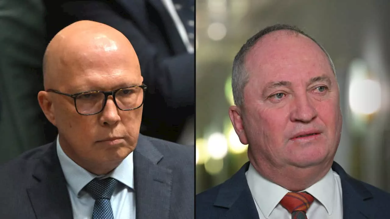 Peter Dutton criticises people for not supporting Barnaby Joyce on Canberra footpath