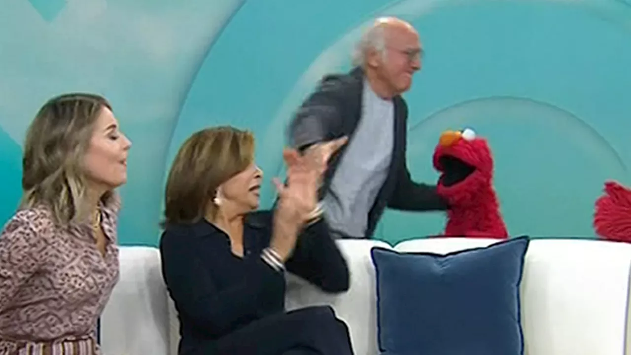 Larry David 'Beats Up' Elmo on 'Today' Show, Apologizes Right After