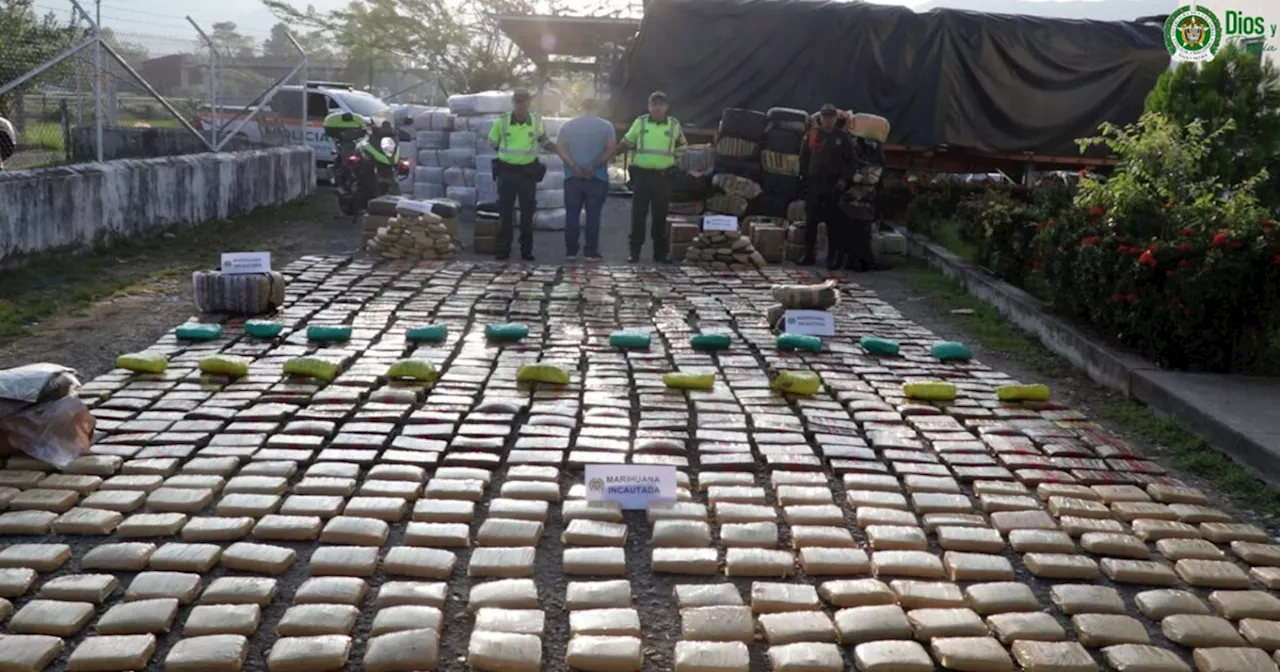 Caen 3.5 toneladas de marihuana camufladas en sacos de abono orgánico en Santander