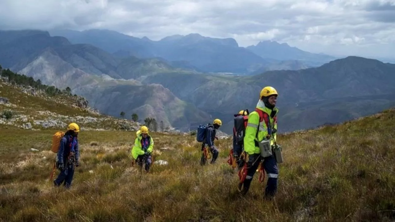 Clearing alien invasive plants is a crucial step towards water security