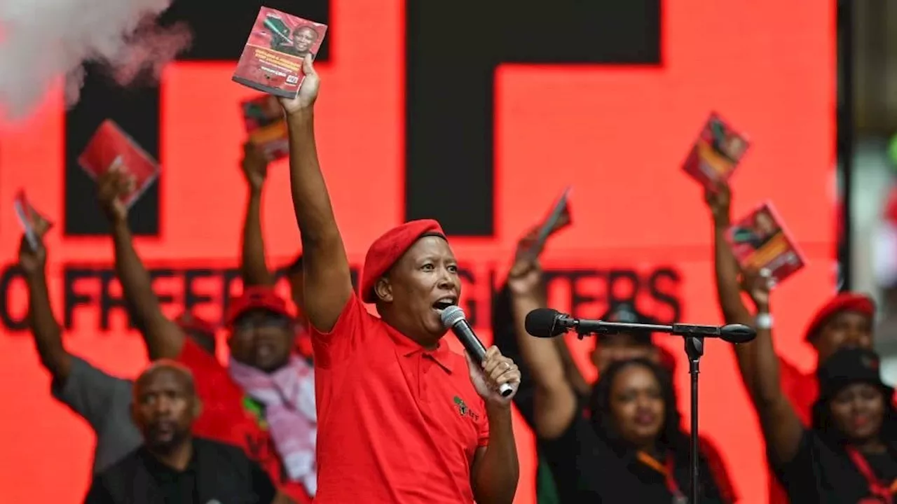 Inside the EFF manifesto: Energy plans not just pie in the sky, but higher grants raise questions