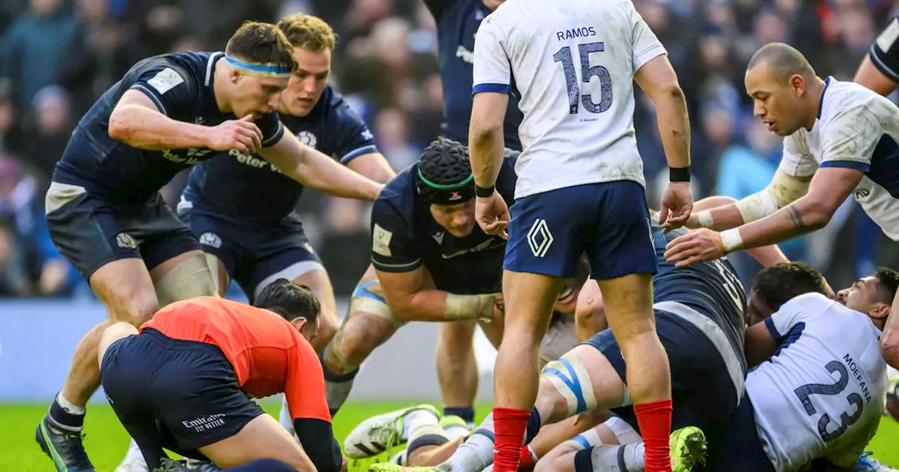 Owen Doyle: Common sense was lacking in denying Scotland their late try against France