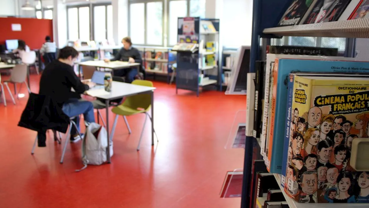 Avec les bibliothèques de l'agglo Tarbes-Lourdes-Pyrénées, la culture se met à la page avant d'investir la méd