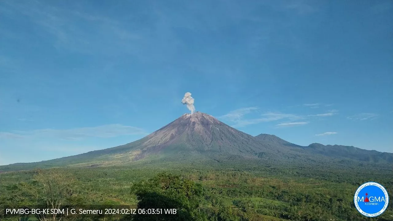 Gunung Semeru Erupsi Senin Pagi 12 Februari 2024, Semburkan Abu Vulkanik 800 Meter ke Arah Tenggara