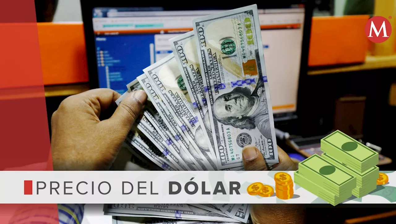 Precio del dólar HOY 12 de febrero de 2024: Peso se mantiene estable y atento a inflación en EU