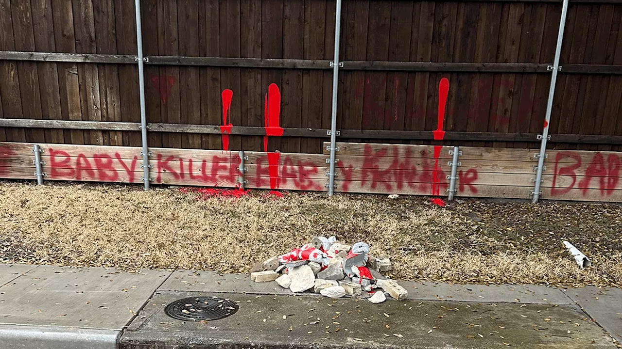 ‘Baby killer': Antisemitic graffiti sprayed on Dallas city councilwoman's fence