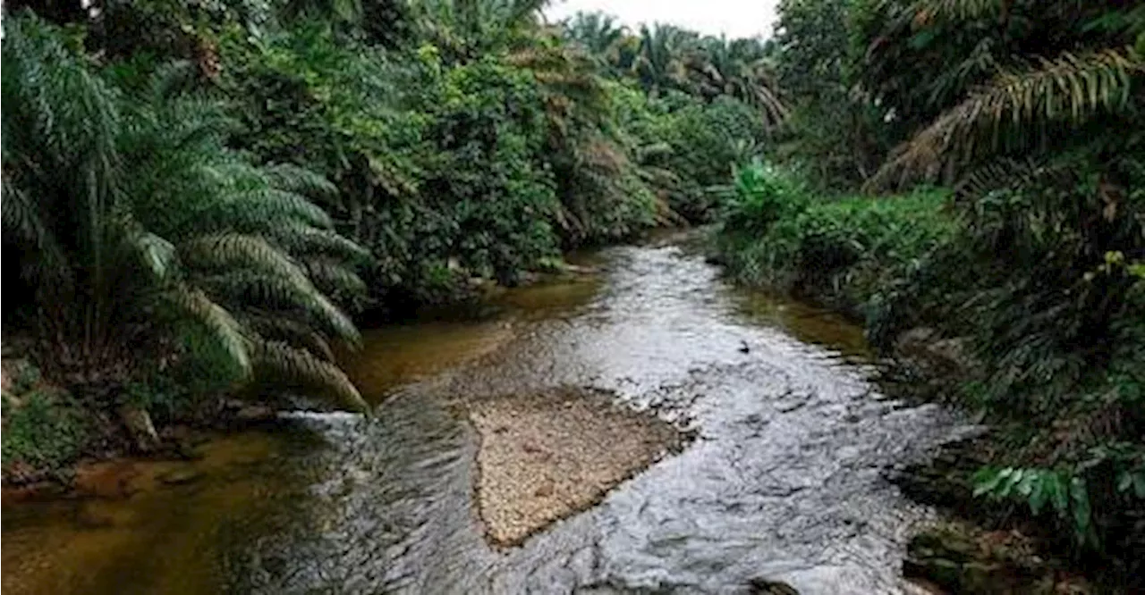 Three teens feared drowned while swimming, fishing in Sungai Sempit