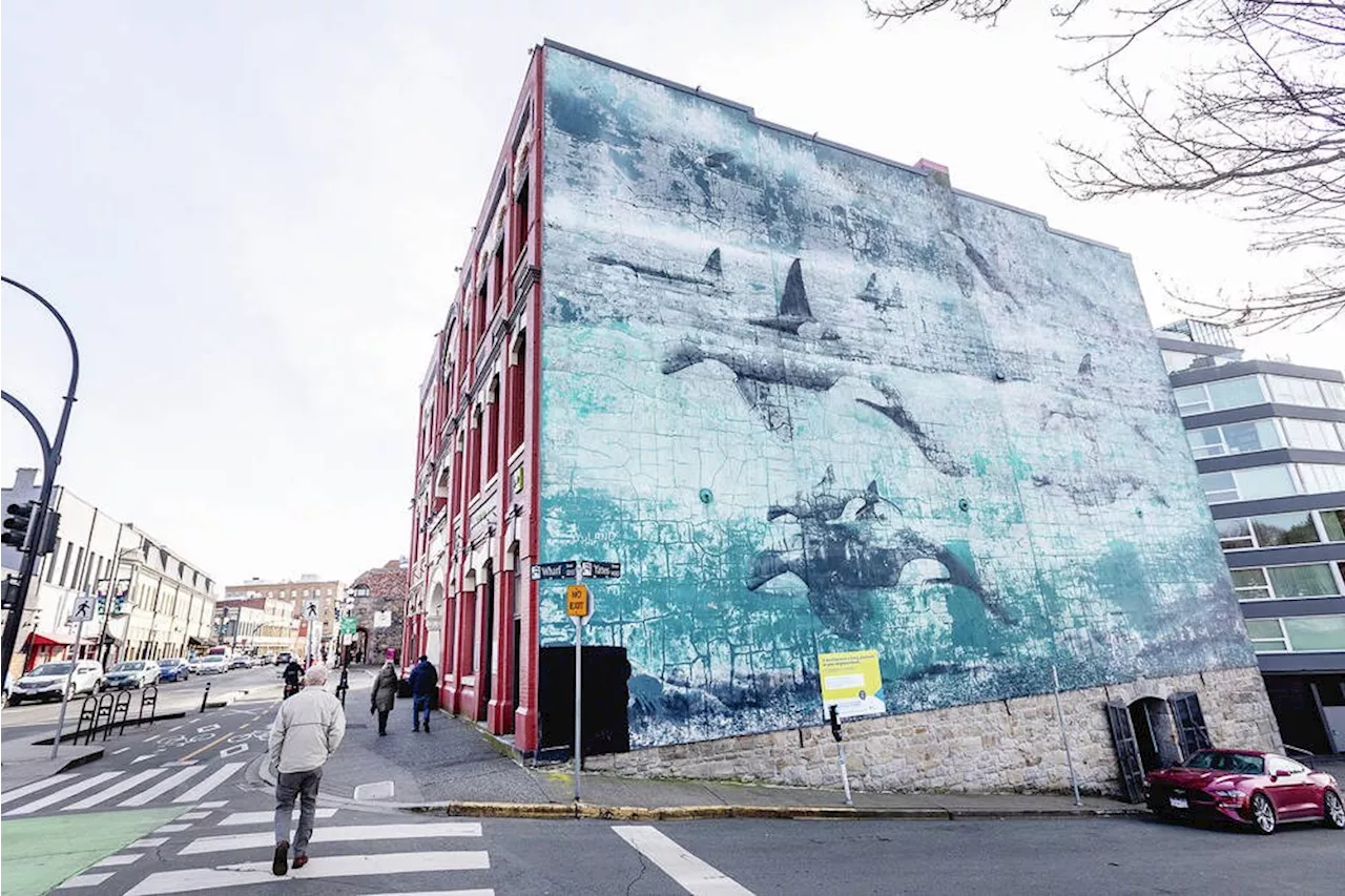 Fate of Victoria whale mural up in air as building redevelopment proposed