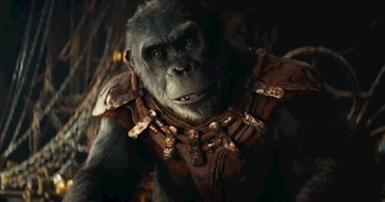 Kingdom of the Planet of the Apes: Primer tráiler revela a humanos como presas