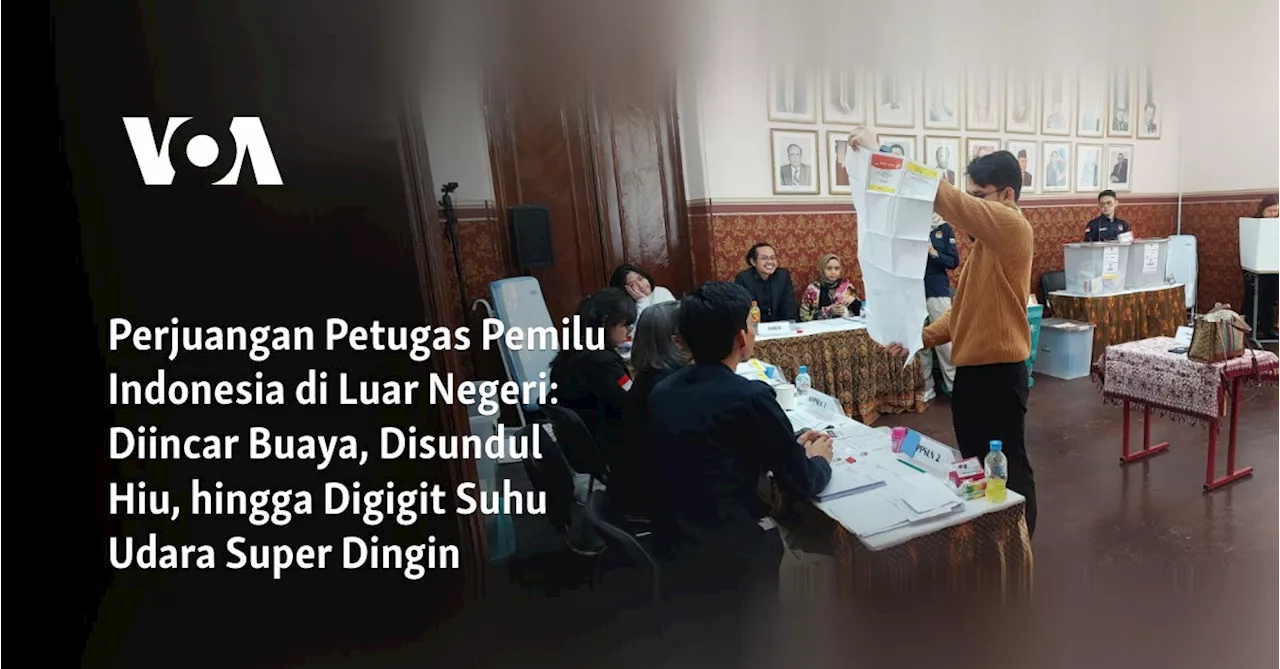 Perjuangan Petugas Pemilu Indonesia di Luar Negeri: Diincar Buaya, Disundul Hiu, hingga Digigit Suhu Udara...