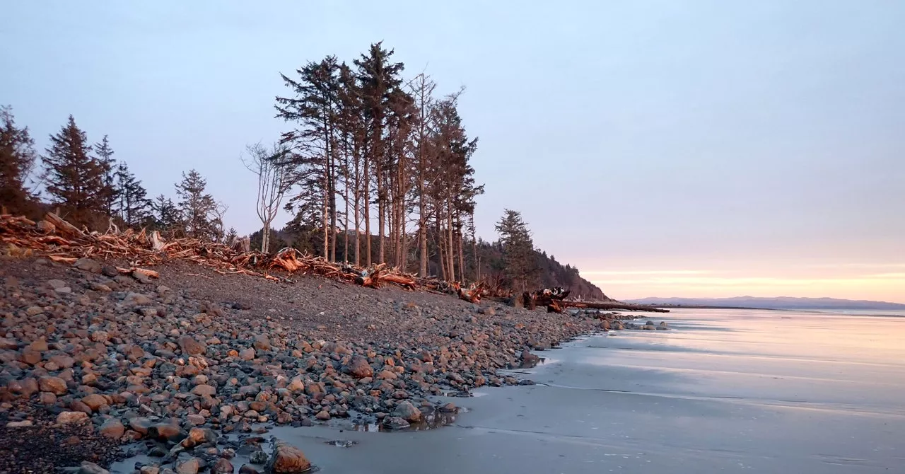 Inside the DIY Movement to Fight Coastal Erosion