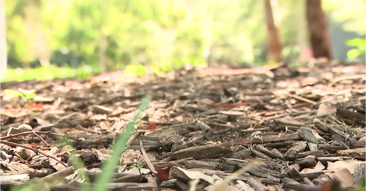 'Completely unacceptable': Asbestos detected at more than 20 sites across Sydney