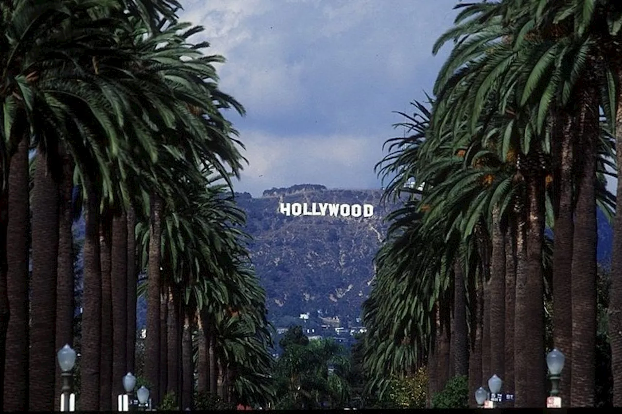 Brilliant Things to Do in Hollywood