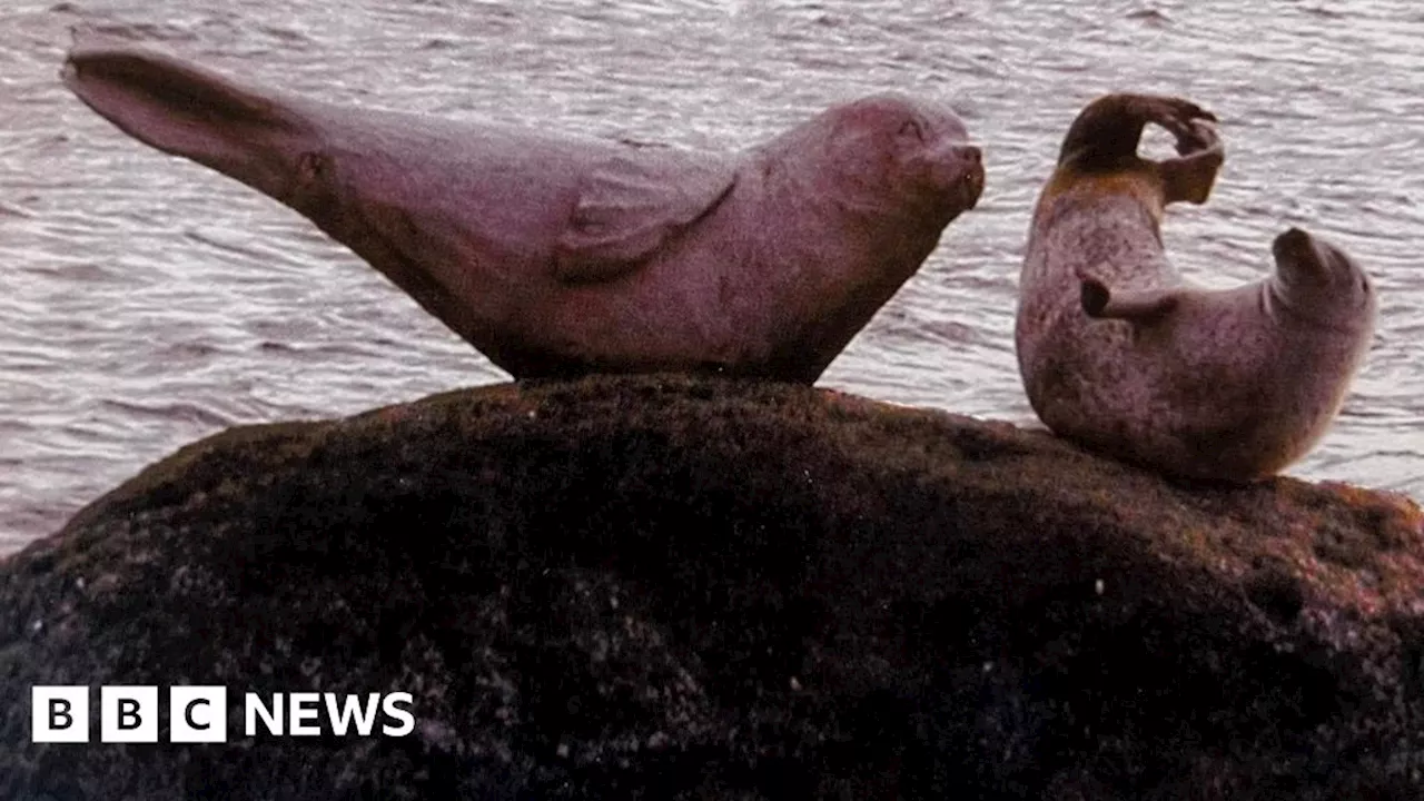 Hunt for Arran seal sculpture washed away in storm