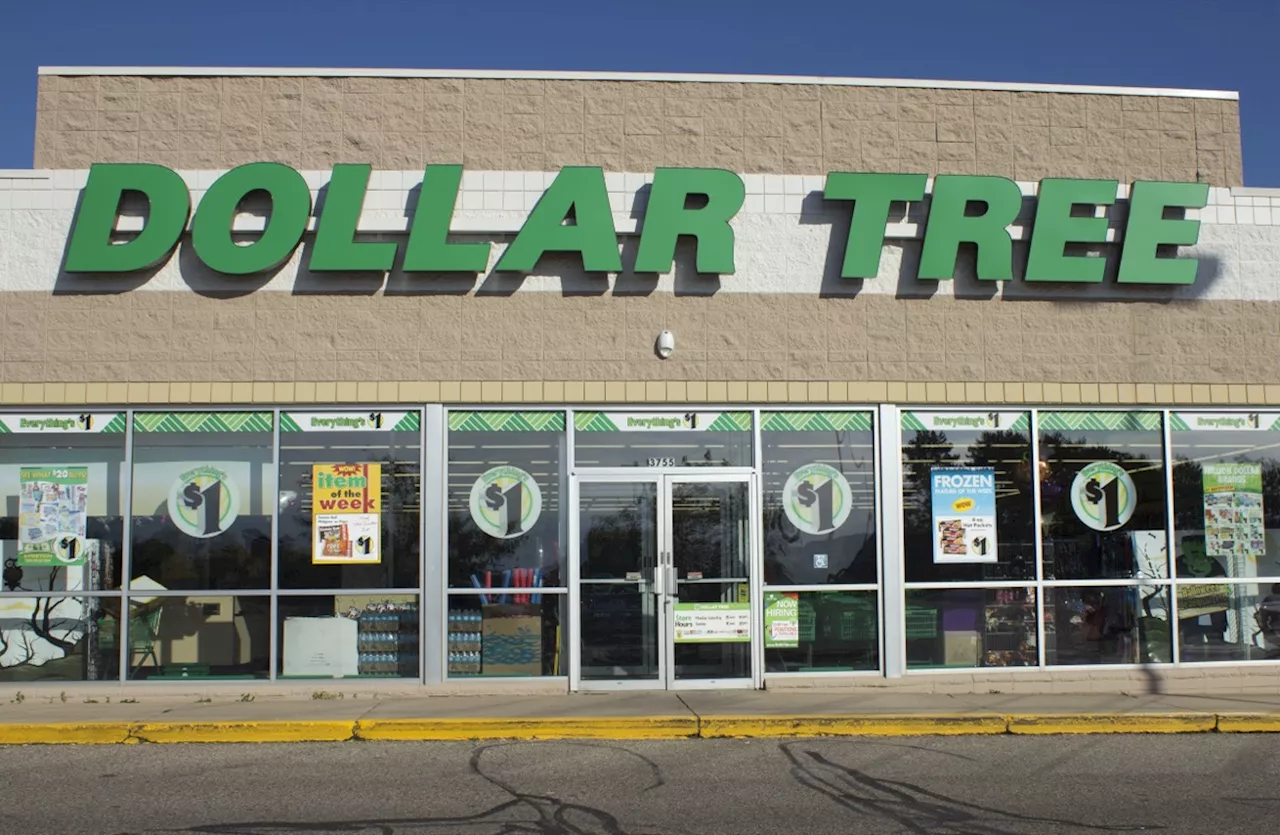 I'm an Interior Designer and Just Bought 11 Luxe Decor Items at Dollar Tree