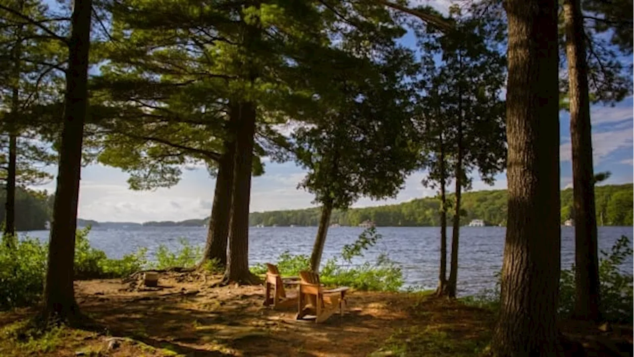 As unruly guests disturb the peace, Muskoka Lakes considers licences for short-term rentals