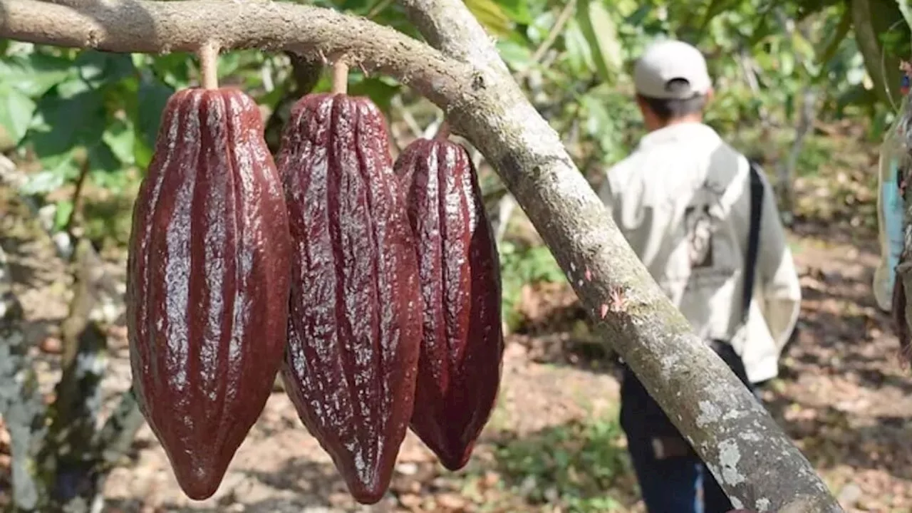 Una inesperada bonanza sorprende al agro colombiano