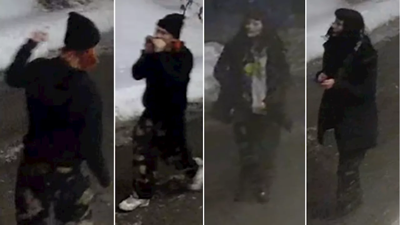 Ottawa police seek to identify two people as part of Sandy Hill fire investigation