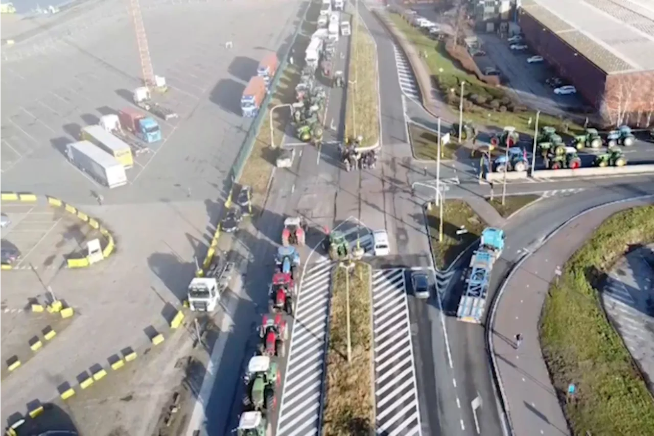 Dronebeelden tonen hoe tientallen boeren kaai 730 in Antwerpse haven blokkeren