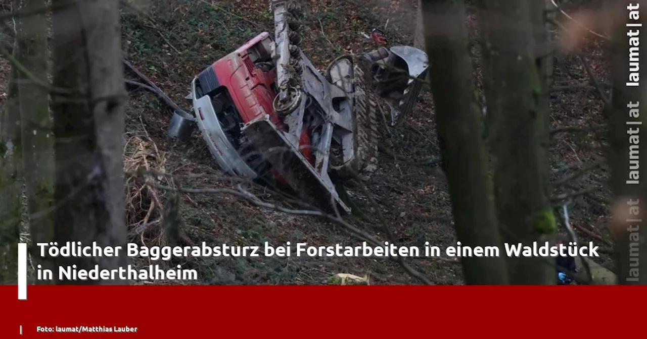 Tödlicher Baggerabsturz bei Forstarbeiten in Niederthalheim