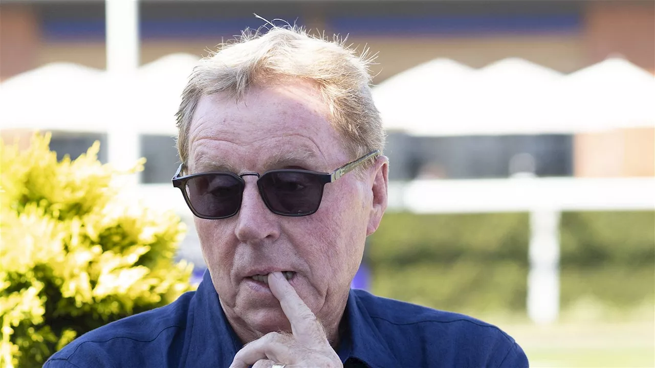 Harry Redknapp explains why he’s picked out this Newcastle United duo