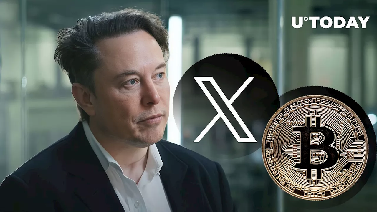 Elon Musk Ignites Bullish Sentiment in Community as Bitcoin Tops $50,000