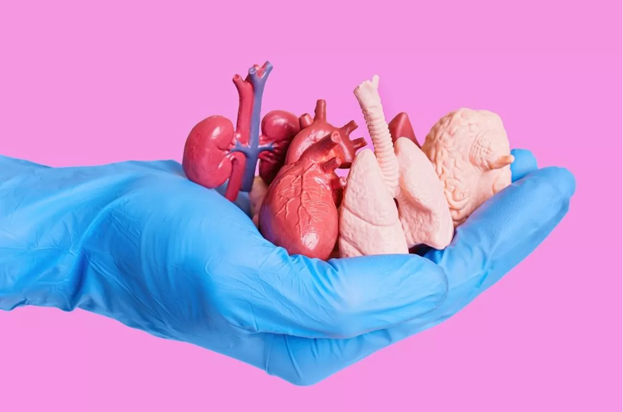 Organdonation: Giver aktivt fravalg-ordning flere organer til de syge?