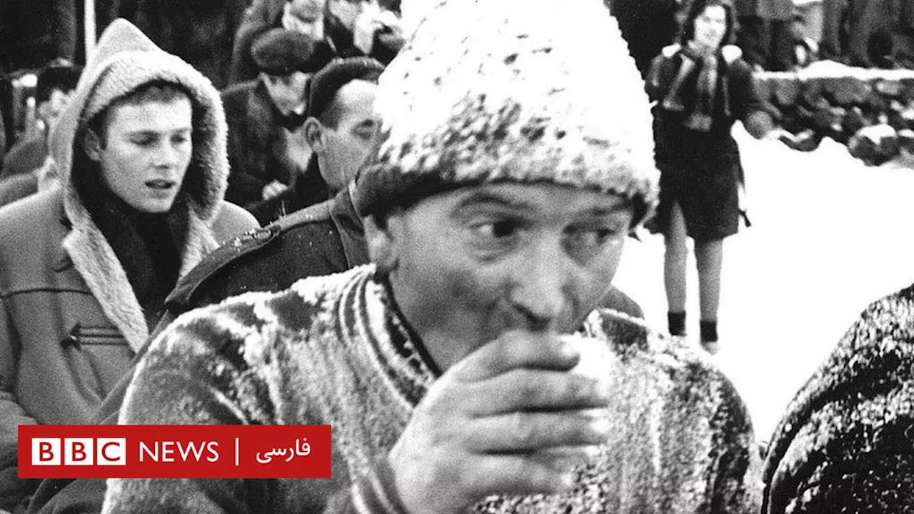 الف‌استیدن‌توخت؛ نبرد با یخ و برف در مسابقه‌ای که شبیه هیچ چیز نیست