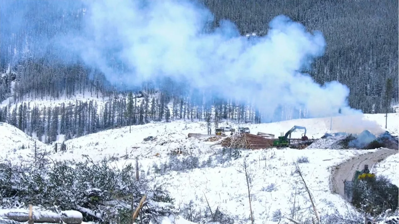 Parks Canada more than halfway through creating wildfire safety barrier