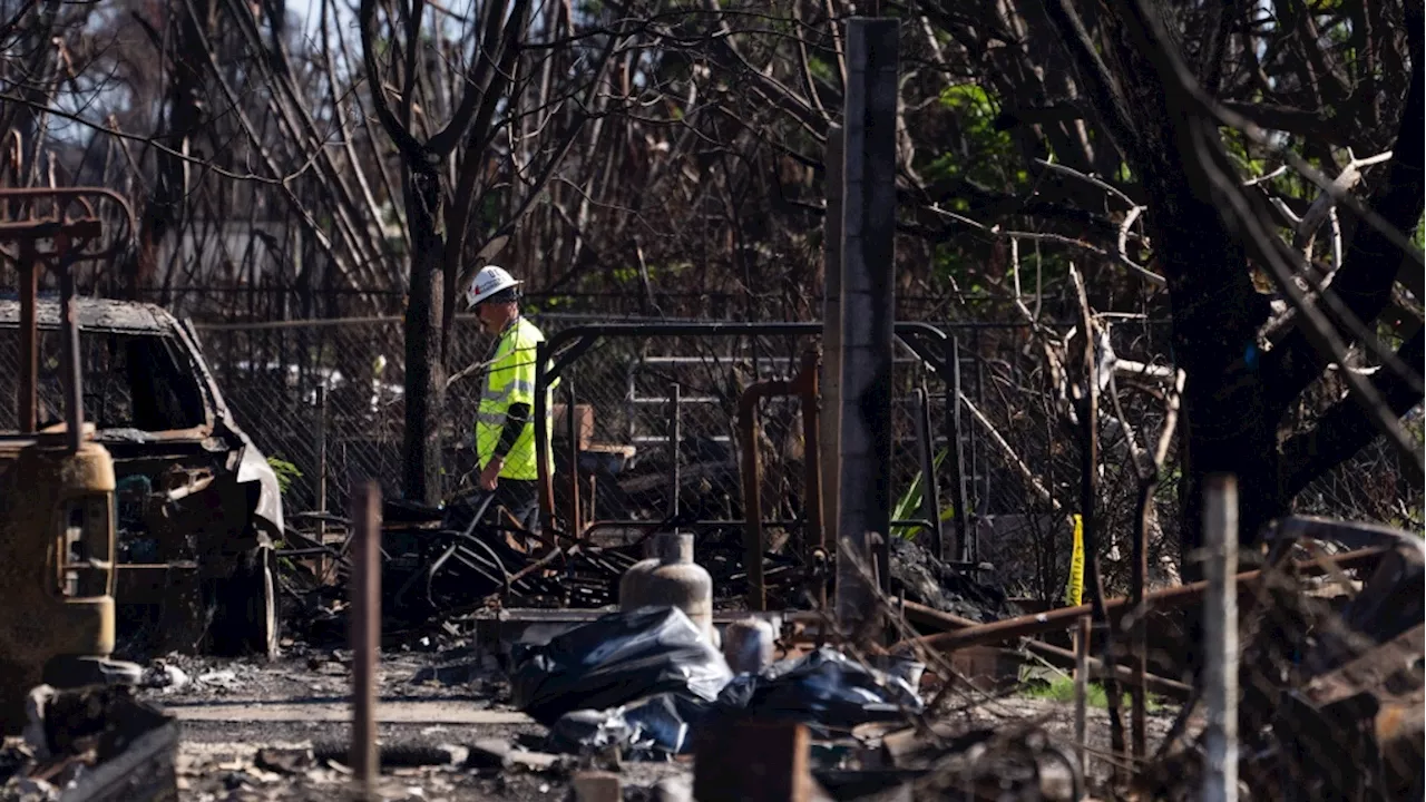 Death Toll from Hawaii Wildfire Rises to 101 as New Victim Identified